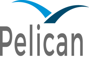 Pelican کیسینو